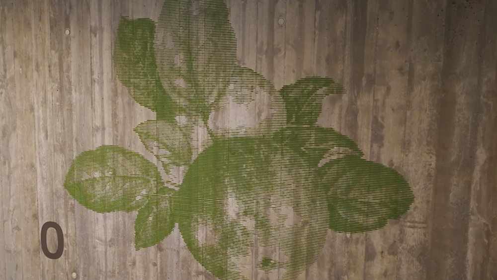 Sujet mit Negativschablone direkt auf Beton gestrichen