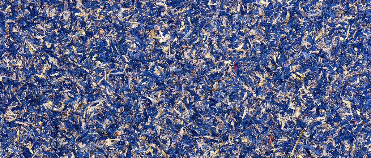 Aussenräume beschriften